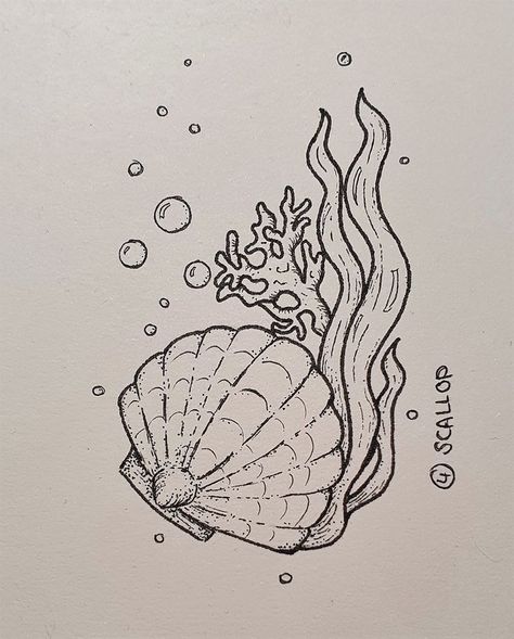 Sea Shell Art Drawing, Cute Ocean Creatures Drawing, How To Paint A Jellyfish Step By Step, Ocean Aesthetic Doodles, Sea Theme Drawings, See Creatures Drawing, Mermaid Core Drawing, Easy Sea Life Drawing, Seaweed Tattoo Simple