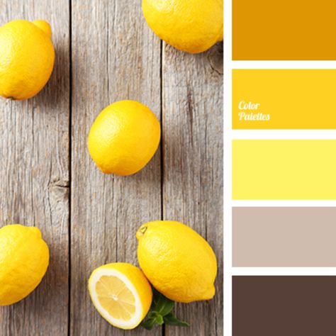 Paint Colour Palettes, Blog Color Palette, Living Room Yellow, Room Yellow, Yellow Paint Colors, Color Palette Ideas, Color Palette Yellow, Yellow Living Room, Brown Color Palette