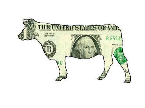 Use Hard Trends to Create Your Company’s New Cash Cow Cow Quotes, Cash Cow, Dollar Note, Th 5, Net Neutrality, A Cow, Stock Illustration, Moose Art, Create Yourself