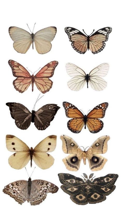 Brown Scrapbook Stickers, Vintage Aesthetic Stickers Printables, Vintage Paper Printable, Types Of Butterflies, Scrapbook Printing, Scrapbook Stickers Printable, Gcse Art, Bullet Journal Stickers, Scrapbook Journal