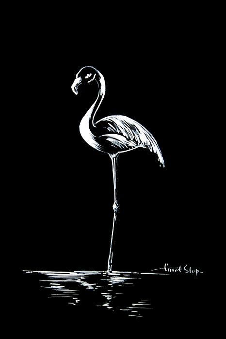 Pin on My works White Ink Drawing On Black Paper, White On Black Drawing, Black And White Painting Ideas, Drawing Flamingo, Art Black Background, Black Canvas Art, Black Drawing, Scratchboard Art, Black Canvas Paintings