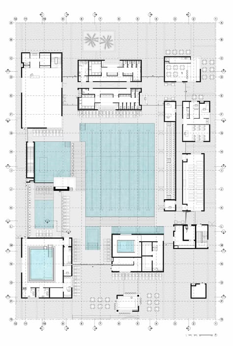 Pool Floor Plan, Swimming Pool Dimensions, Swimming Pool Plan, Sports Facility Architecture, Urban Design Graphics, Architecture Set, Swimming Pool Architecture, Unique Floor Plans, Modern Floor Plans