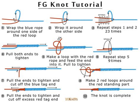 FG Knot or Sebile Knot | 101 Knots Fg Knot, Uni Knot, Fishing Line Knots, Fly Fishing Knots, Fishing Hook Knots, Hook Knot, Carp Rigs, Clinch Knot, Fishing Basics