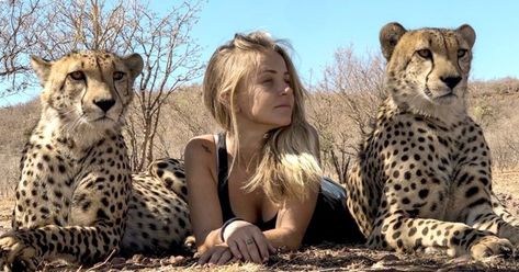 Cheetah Pictures, Foto Cowgirl, Haiwan Peliharaan, Animal Sanctuary, Cheetahs, Cat Sleeping, Zoology, An Animal, Zebras