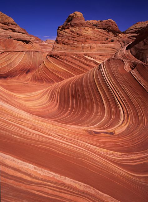 See Think Wonder, Sandstone Rock, Paria Canyon, Vermillion Cliffs, Glen Canyon Dam, Story Photography, Lake Powell, Summer Road Trip, Travel Images