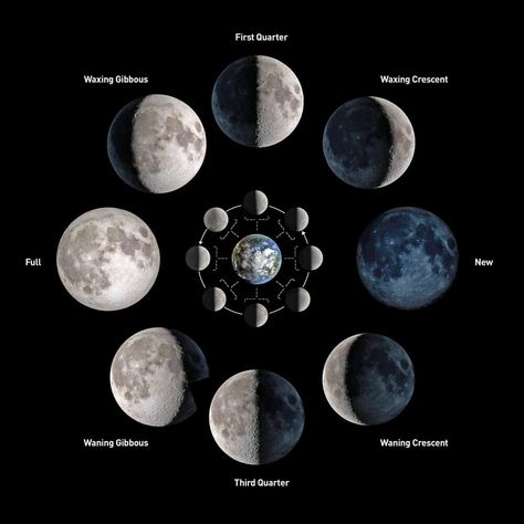 Moon Stages, Moon Facts, New Moon Phase, Sturgeon Moon, Moon Date, Astrology Calendar, Next Full Moon, Moon Phase Calendar, New Moon Rituals