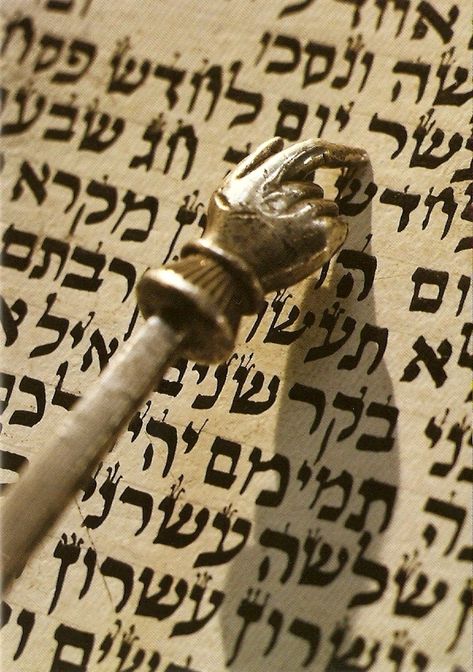 Hebrew Writing, Torah Scroll, Simchat Torah, Arte Judaica, Hebrew Roots, Jewish Heritage, Learn Hebrew, Hebrew Language, Jewish Culture