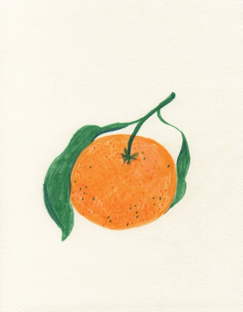 illustration, orange, art, poster, Liana Jegers, Botanical Drawings, Art And Illustration, What’s Going On, Food Illustrations, 그림 그리기, Graphic Design Illustration, Art Inspo, Beautiful Art