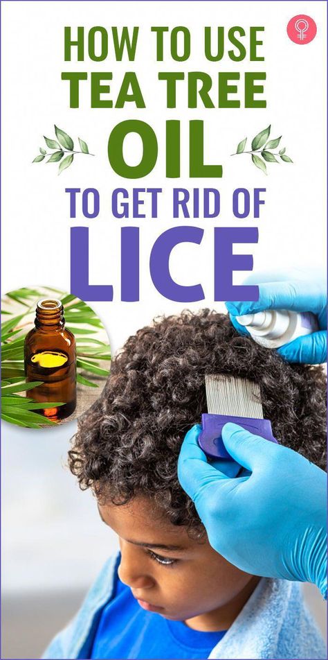 Are head lice causing you constant irritation and stress? What you need is a natural solution that kills the lice. How effective is tea tree oil for lice? Tea Tree Oil For Lice, Lice Remedies, Hair Lice, Hairstyle Examples, Head Louse, Hair Growth Supplement, Stronger Hair, Borderline Personality, Hair Growth Serum