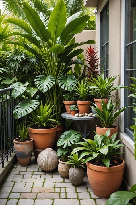 20 Small Tropical Garden Design Ideas - Toolz Geek Home Balcony Garden Ideas, Small Garden Potted Plants, House Plants Decor Balcony, Tropical Yard Landscape, Tropical Plant Containers, Tiny Tropical Garden, Balcony Pots Ideas, Tropical Balcony Ideas, Little Garden Ideas Small Spaces