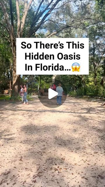 Victoria + Terrence on Instagram: "The most magical hidden gem in Florida! 

Put Cedar Lakes Woods And Gardens in Williston Florida on your list! If you are going to Devil’s Den, this is literally 2 min away!!! 

Have you visited? I was in awe! 
.
.
.
.
.
.
.
.
 . #reels #adventure #nature #discoverearth #welivetoexplore #wildernessculture #amongthewild #awesomeearth #travel #goparks #ourcamplife #awakethesoul #takemoreadventures #optoutside  #hiddengems #america #usa #earthfocus #floridatravel #roamflorida #floridagirl #bucketlist  #budgettravel #googlemaps #bluewater  #floridasprings #cedarlakeswoodsandgardens #devilsden #northflorida #botanicalgardens" Fun Places In Florida, Only In Florida, Devils Den Florida, Williston Florida, Florida Vibes, Englewood Florida, Lake Camping, Florida Landscaping, Travel Florida