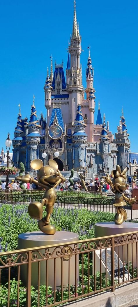 Magic Kingdom Castle Tattoo, Disney Magic Kingdom Aesthetic, Magic Kingdom Castle Pictures, Disney World California, Magic Kingdom Florida, Disney Park Wallpaper, Walt Disney World Florida, Disney World Castle Wallpaper, Disney Vibes Aesthetic