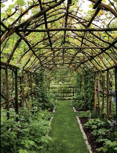 Plantarea Legumelor, Jardim Diy, Sun Loving Plants, Garden Vines, Garden Trellis, Garden Structures, Garden Room, Dream Garden, Backyard Garden