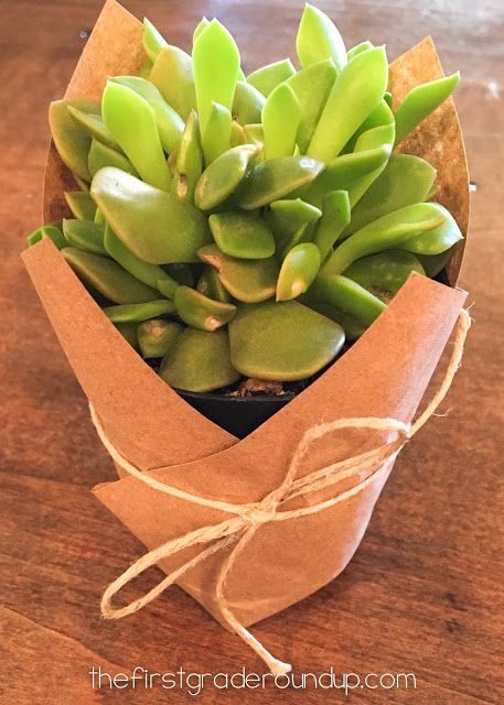 Teachers Diy, Craft Craft, Plant Gift, Succulent Gifts, Mini Succulents, Diy Teacher Gifts, Free Labels, Staff Appreciation, Teacher Appreciation Gift