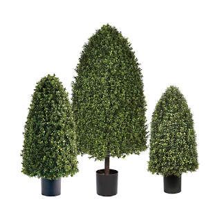 Rounded Cone Outdoor Boxwood Topiary Backyard Refresh, Outdoor Topiary, Boxwood Garden, Faux Branches, Boxwood Topiary, Summer Backyard, Indoor Outdoor Planter, Greenery Garland, Magnolia Leaves