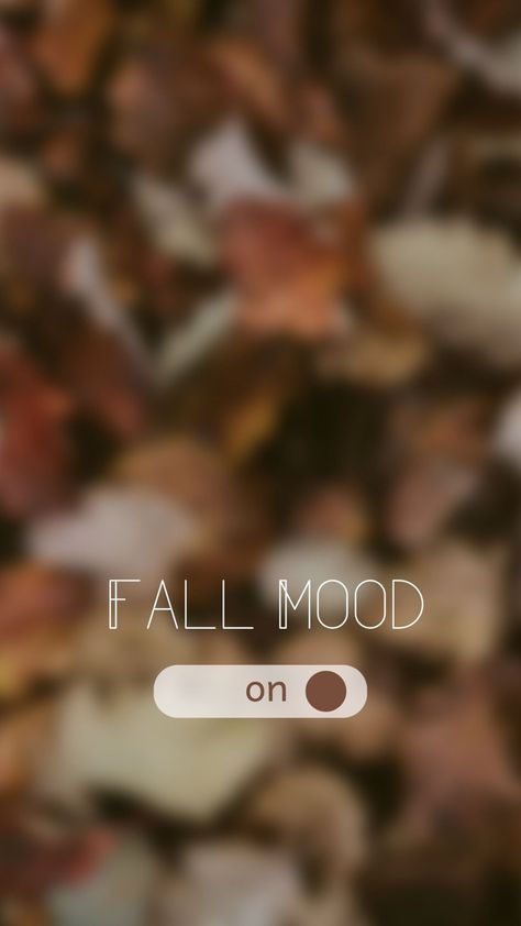 Fall Time Aesthetic Wallpaper, Fall Insta Story Background, October Aesthetic Instagram, Cozy Story Instagram, Hello Autumn Quotes, Autumn Aesthetic Instagram Story, Fall Instagram Story Background, Cozy Autumn Aesthetic Wallpaper Iphone, Cold Autumn Aesthetic