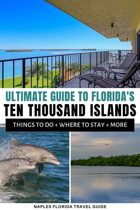 Ultimate Travel Guide to Southwest Florida's Ten Thousand Islands. Are you planning to travel to Florida? In this Florida travel guide you'll learn all about the Ten Thousand Islands, including what to do there, where to stay, and more! Add them to your Florida itinerary! | things to do in Florida | things to do in the Ten Thousand Islands | camping in Florida | best time to visit Ten Thousand Islands | how to get to the Ten Thousand Islands Florida | USA travel | #Florida #TenThousandIslands Florida Itinerary, Travel To Florida, Florida Travel Destinations, Usa Places To Visit, Travel Florida, Florida Travel Guide, Florida Camping, Everglades Florida, Captiva Island