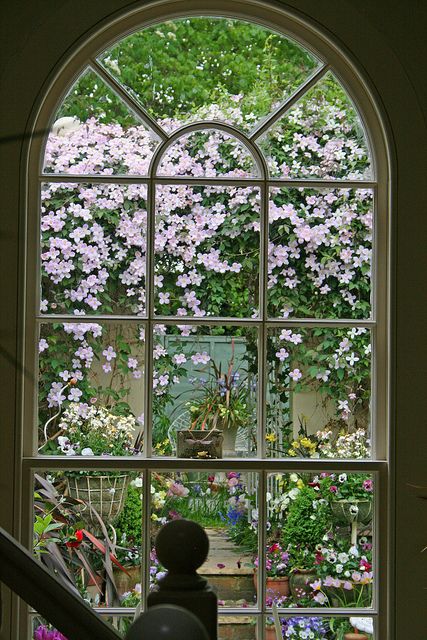 i would like to look  out my kitchen  window  into  a greenhouse  filled  with flowers  maybe  some  day Window With Flowers, Cow Shed, An Open Window, Magic Garden, Looking Out The Window, Beautiful Windows, The Secret Garden, Pergola Patio, Window View