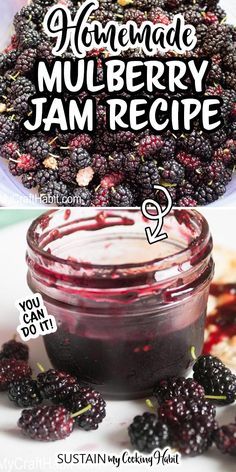 How To Make Mulberry Jam, Mulberry Jam Recipe Easy, White Mulberry Recipes, Deer Jerkey, Mulberry Jam Recipe, Mulberry Benefits, Tiger Siberian, Mulberry Jam, Mulberry Recipes