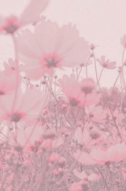 Pink Aethstetic Vintage, Aprilcore Aesthetic, Aesthetic Pink Images, Aesthetic Pink Pictures, Pink Asthetics Wallpaper, Pink Walpaper, Wallpers Pink, Soft Pink Flowers, Pastel Pink Wallpaper