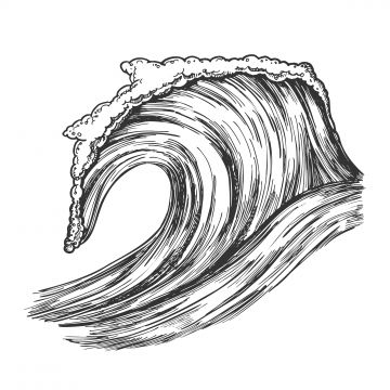 marine,wave,rushing,tropical,ocean,storm,vector,foamy,water,surge,dangerous,seascape,element,clean,breach,motion,nature,aquatic,tsunami,black,white,hand,drawn,cartoon,illustration,breaking,sea,giant,coastline,pacific,huge,sketch,splash,ripple,wet,power,tide,artwork,curl,curve,graphic,offshore,splashing,flow,flowing,grace,concept,ecology,tunnel,surf,wave vector,splash vector,water vector,cartoon vector,graphic vector,sea vector,nature vector,curve vector,black vector,sketch vector,tropical vector Wave Splash Drawing, Ocean Waves Sketch, Water Line Art, Wave Sketch, Refugee Art, Storm Drawing, Ocean Wave Drawing, Waves Sketch, Wave Paintings