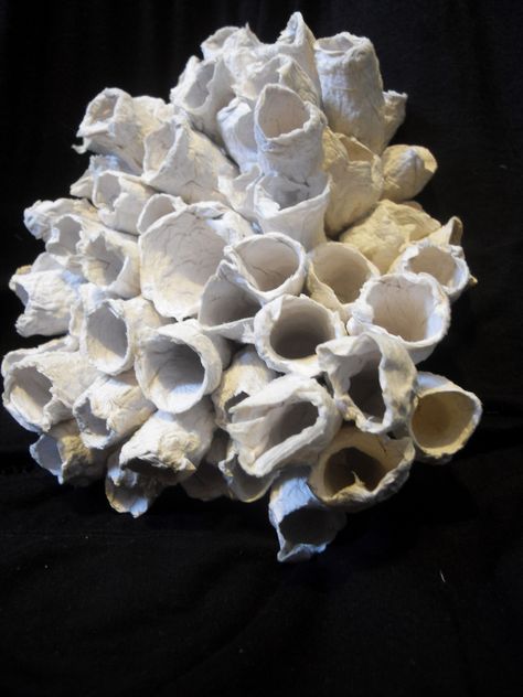 toilet tissue coral sculpture | Flickr - Photo Sharing! Diy Barnacles, Under The Sea Decorations, Coral Sculpture, Underwater Theme, Sea Decor, Under The Sea Theme, Toilet Tissue, Sea Birthday, Under The Sea Party