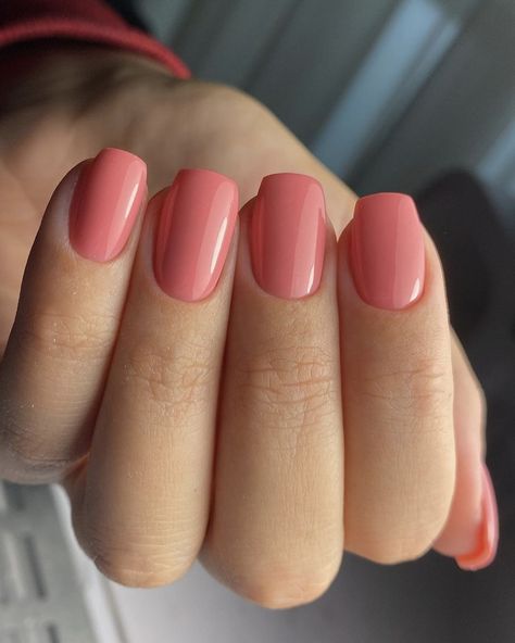 The GelBottle Inc™ on Instagram: “Be unapologetically you. 💅 Take charge and take risks in Bold BIAB™. An eye-catching dusky pink, with warm undertones 💖 Discover the…” Warm Pink Nails, Shellac Nail Colors, Pointy Nails, Nail Style, Shellac Nails, Metallic Nails, Glam Nails, Take Charge, Dusky Pink