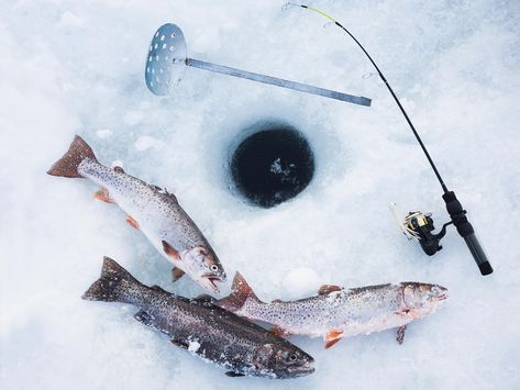 Ice Fishing Tips, Ice Fishing Lures, Frozen Water, Winter Fishing, Brook Trout, Walleye Fishing, Fish House, Brain And Heart, Crappie Fishing