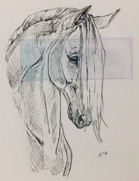 Horse Head Drawing Reference, Horse Side Profile Drawing, Horse Drawings Sketches, Horse Mane Drawing, Horse Hair Drawing, Horse Face Sketch, Building Pencil Drawing, Horse Pen Drawing, How To Draw A Horse Head