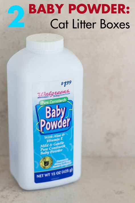 Baby powder is an easy, cheap, and effective way to deodorize cat litter boxes, minimizing the smell. #cleaningtips #cleaninghacks #babypowderhack Cat Litter Box Diy, Cat Litter Smell, Cat Liter, Litter Box Smell, Diy Litter Box, Raising Kittens, Cat Litter Boxes, Box Hacks, Best Cat Litter