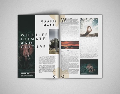 Magazine Layout Design Art Magazine Design, School Magazine Ideas, Travel Magazine Design, Editorial Design Magazine, Magazine Layout Inspiration, Yearbook Layouts, Book And Magazine Design, Page Layout Design, Picture Layouts