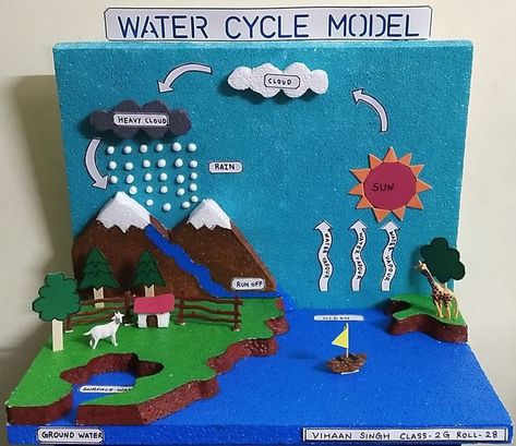 Water Cycle Working Model, Water Cycle Project Kids, Water Cycle Model Projects, The Water Cycle Project, Water Cycle Project Models, Bodies Of Water Activities, Science Tlm, Water Cycle Craft, Water Cycle Model