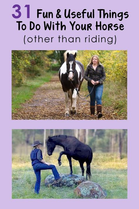 Horse Turnout Blanket, Trail Riding Saddle, Fun Things To Do With Your Horse, Cute Farm Ideas, Horse Tricks, Horse Training Exercises, Equine Care, Riding Tips, Horse Exercises