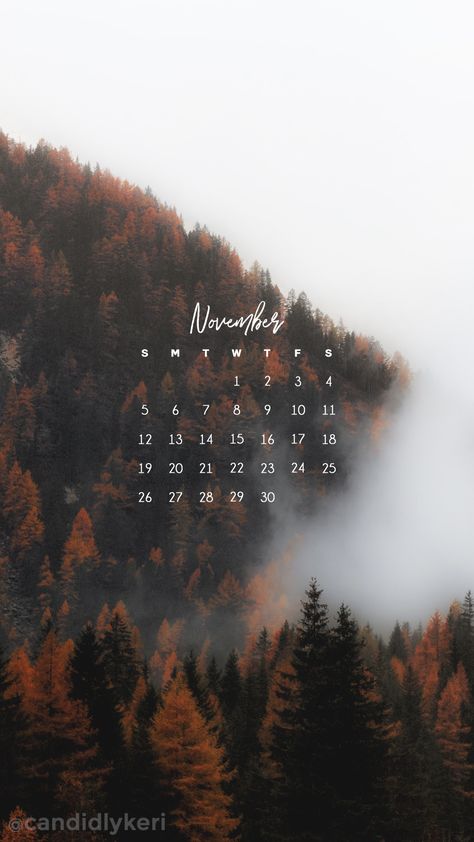 Nature Desktop, 2017 Wallpaper, November Wallpaper, Wallpaper Seni, Forest Falls, November Calendar, Wall Paper Phone, Calendar 2017, Iphone Wallpaper Fall