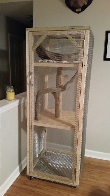 Chipmunk Enclosure, Squirrel Cages Indoor, Indoor Raccoon Enclosure, Diy Squirrel Cage Ideas, Wildlife Rehabilitation Enclosures, Pet Squirrel Cage Ideas, Squirrel Cage Ideas, Squirrel Enclosure, Squirrel Habitat