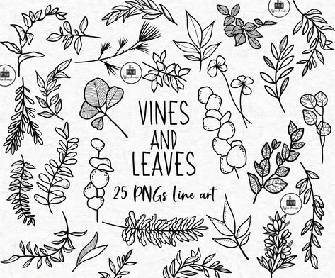 Vine Drawing, Leaves Doodle, Plant Doodle, Tree Doodle, Bujo Layout, Botanical Line Drawing, Doodle Art Flowers, Hand Drawn Elements, Feuille Eucalyptus