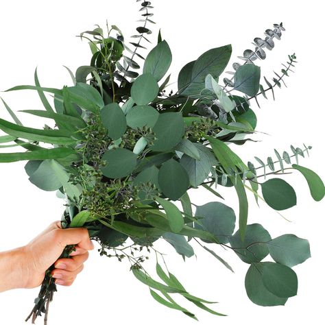 PRICES MAY VARY. 🌿[3 Styles Eucalyptus Plants] - One pack contains 12 pcs mixed eucalyptus leaves, stems vary in length 12-15". Including 4 eucalyptus leaves, 4 silver dollar leaves, 4 seeded eucalyptus leaves.Please Note: This is a natural plant, not fake artificial leaves. The leaves vary in color and size and need to be pruned to make a beautiful eucalyptus bush. 🌿[100% Natural Plants] - Natural fresh eucalyptus leaves from the mountains, hand-picked by farmers. processed through a series o Wedding Greenery Decor, Seeded Eucalyptus Bouquet, Vase Floral Arrangements, Eucalyptus Bouquets, Vase With Branches, Faux Branches, Greenery Wedding Decor, Preserved Eucalyptus, Eucalyptus Bouquet