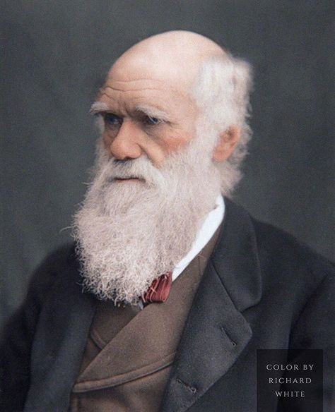 An 1877 photograph of famous English naturalist, biologist and geologist, Charles Darwin. He was 68 years old at the time. Credit:… Charles Darwin Evolution, Darwin Evolution, Evolution Art, Jesus Art Drawing, Science Images, Android Wallpaper Dark, Black And White People, Portrait Pictures, Charles Darwin