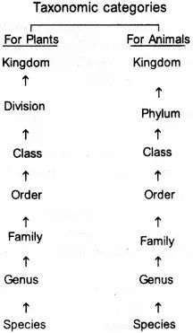 The Living World Neet Notes, Zoology Project Ideas, The Living World Notes Biology, Zoology Notes, Neet Notes, Learn Biology, Science Study, Study Biology, Biology Classroom