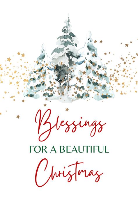 Blessed Christmas Images, Blessed Christmas Greetings, Merry Christmas Images Beautiful, Christmas Images Beautiful, Kersfees Idees, Merry Christmas Images Free, Christmas Greetings Quotes, Christmas Wishes Messages, Merry Christmas Message