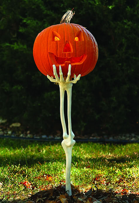 25+ Best Fall Yard Decor Ideas and Designs (Pumpkins, Leaves) For 2022 Adult Halloween Party Decorations, Halloween Decorations Outdoor Porch, Fall Yard Decor, Halloween Outdoor Decoration, Halloween Outside, Hallowen Ideas, Festival Ideas, Creepy Halloween Decorations, Adornos Halloween