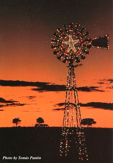 Christmas in Texas! Photo by Tomas Pantin Christmas In Texas, Christmas Lights At Night, Only In Texas, Lights At Night, Texas Christmas, Old Windmills, Texas Forever, Loving Texas, Western Christmas