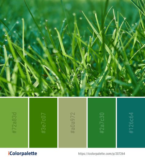 Color Palette ideas from 3434 Grass Images | iColorpalette Grass Green Paint Colors, Grass Green Color Palette, Environment Color Palette, Grass Palette, Grass Color Palette, Grass Images, Andy's Room, Grass Green Color, Color Palette Ideas