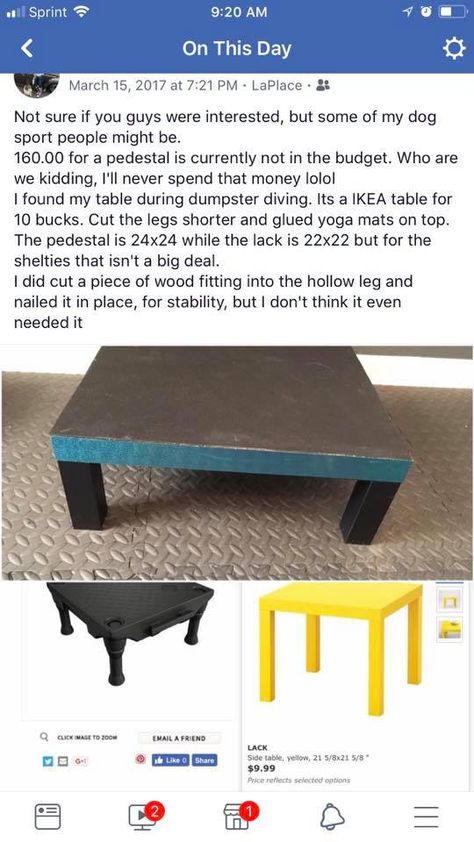 diy dog platform  dog training pedestal ikea hack lack table removable legs joga mag non skid surface Diy Dog Training Platform, Diy Agility Equipment, Diy Dog Training Equipment, Diy Dog Platform, Diy Dog Agility Equipment, Dog Parkour, Dog Agility Diy, Dog Agility Course Diy, Dog Infographic