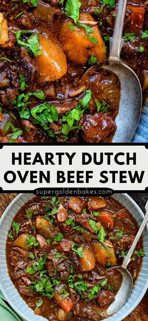 Hearty Dutch Oven Beef Stew, Beef Stew Cast Iron Pot, Oven Baked Stew Meat, Rich Beef Stew Recipe, Vegetable Beef Soup In Dutch Oven, Campfire Beef Stew, Best Beef Stew Recipe Dutch Oven, Beef Stew In A Dutch Oven, Beef Stew Cast Iron Dutch Oven