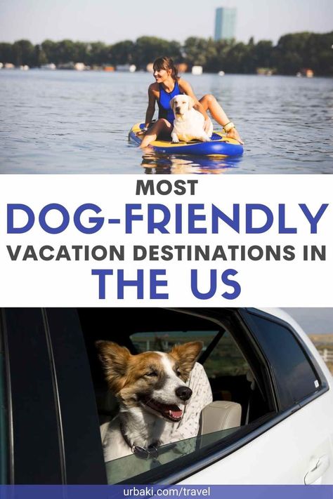 Pet Friendly Vacation Ideas, Dog Friendly Travel Destinations, Pet Friendly Vacation Destinations, Vacation Destinations In The Us, Road Trip With Dog, Midwest Road Trip, Dog Friendly Vacation, Pet Friendly Vacations, Dog Friendly Beach