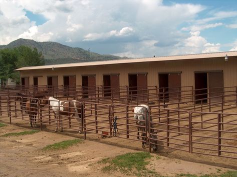 5 Cool Horse Barns With Stall Runs - COWGIRL Magazine Stalls With Runs, Small Horse Tack Room Ideas, Small Horse Property Layout, Horse Stables Design, Small Horse Barns, Horse Pens, Livestock Barn, Horse Barn Ideas Stables, Wren Bird