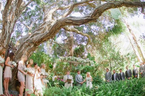 Oak Tree Wedding, Carmel Weddings, Big Sur Wedding, Carmel Ca, Carmel By The Sea, Photography Film, Film Photographer, Tree Wedding, Film Photographers