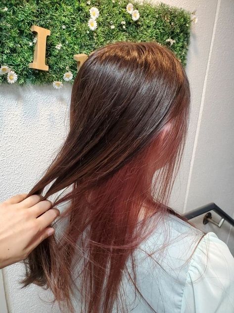 Subtle Dyed Hair Brunettes, Underdye Hair Brown, Hair Dye Burgundy, Pink Underdye Hair, Dye Brown Hair, Light Burgundy Hair, Hair Dye Brown, Pink Peekaboo Hair, Brown Hair Light