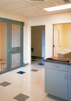 Pelham Police Station holding cell – Pelham, New Hampshire Police Precinct, Jail Cell, Bedroom Wall Paint, Police Station, Blue Bloods, Blue Interior, Aesthetic Pastel Wallpaper, Pastel Aesthetic, Small Town